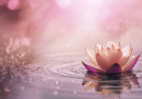 Design sans titre (4)